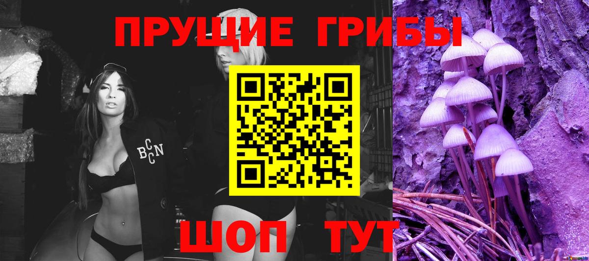 Галлюциногенные грибы мухоморы  Вход с VPN  Черногорск 