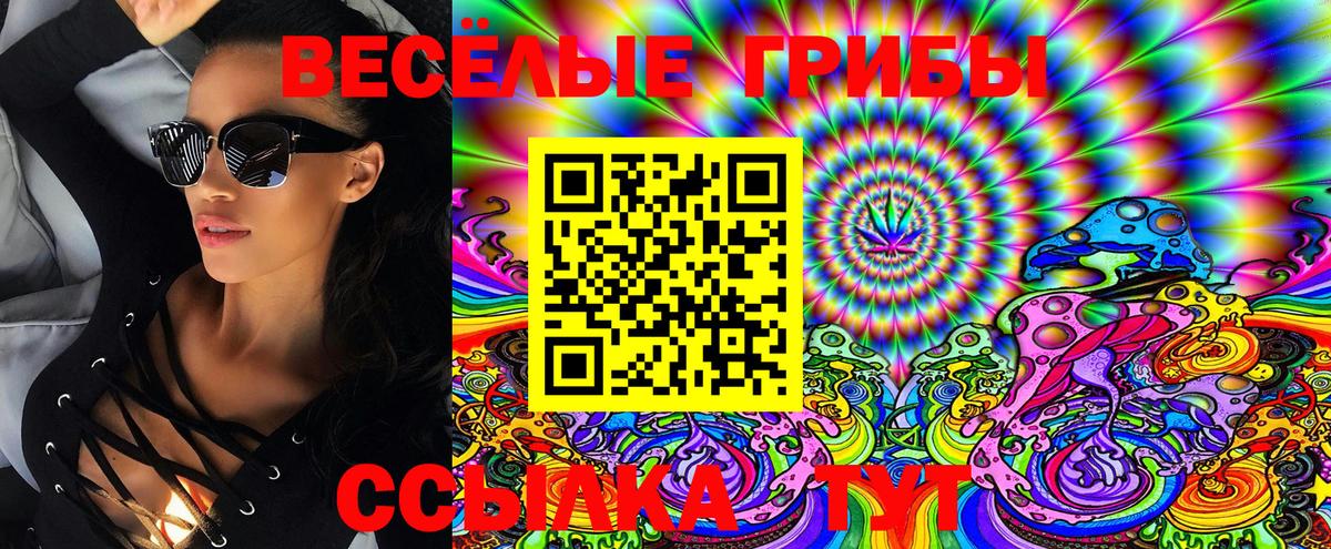 Псилоцибиновые грибы GOLDEN TEACHER Черногорск